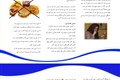تهوع و استفراغ صبحگاهی در حاملگی